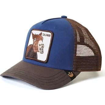 curva-snapback-the-farm-goorin-bros