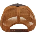 curva-snapback-the-farm-goorin-bros