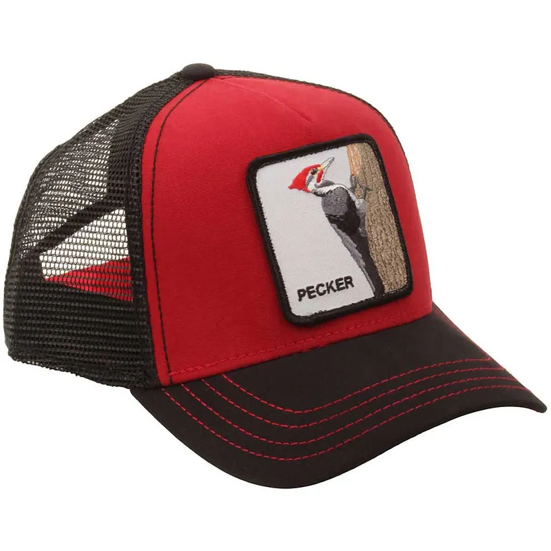 curva-snapback-the-farm-goorin-bros