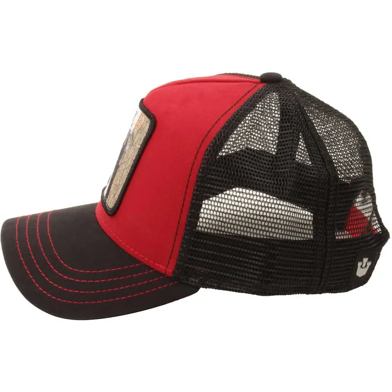 curva-snapback-the-farm-goorin-bros