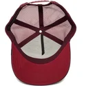 curva-snapback-the-farm-goorin-bros