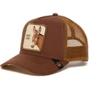 curva-snapback-the-farm-goorin-bros