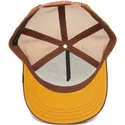 curva-snapback-the-farm-goorin-bros