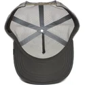 curva-snapback-the-farm-goorin-bros