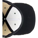 plana-snapback-dc-shoes