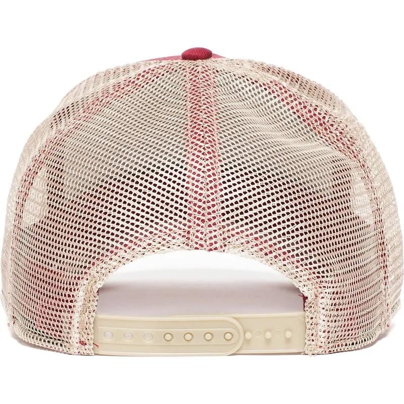 curva-snapback-the-farm-goorin-bros