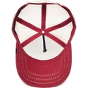 curva-snapback-the-farm-goorin-bros