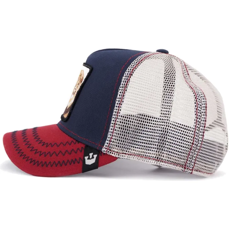 curva-snapback-the-farm-goorin-bros