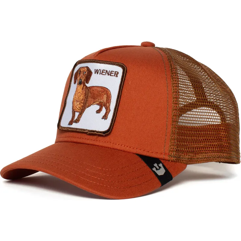 curva-snapback-the-farm-goorin-bros