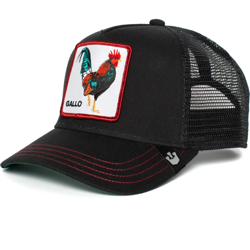 curva-snapback-the-farm-goorin-bros