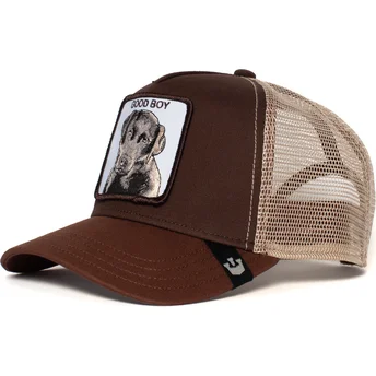 curva-snapback-the-farm-goorin-bros