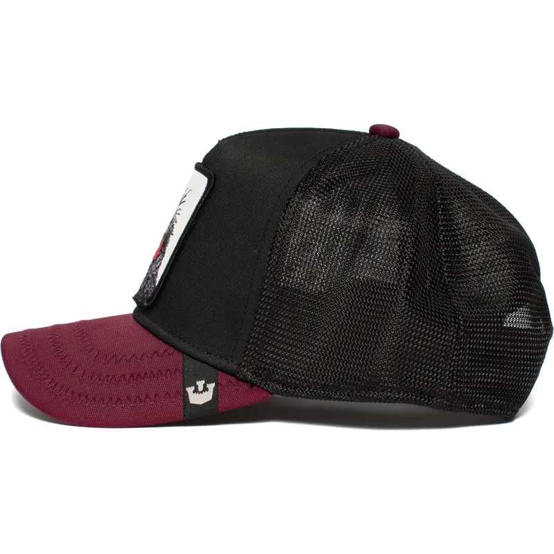 curva-snapback-the-farm-goorin-bros