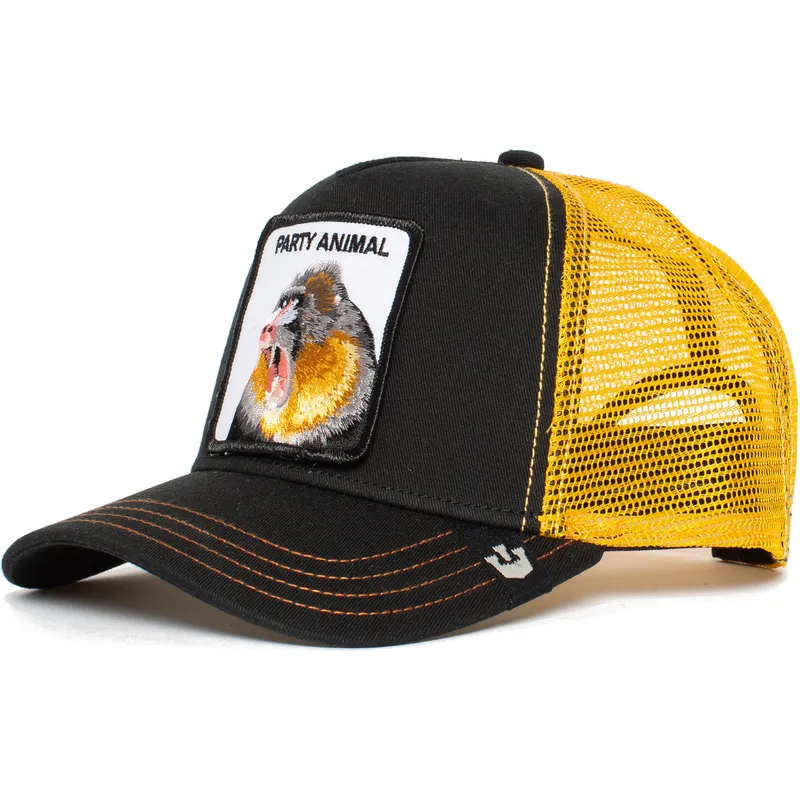 curva-snapback-the-farm-goorin-bros