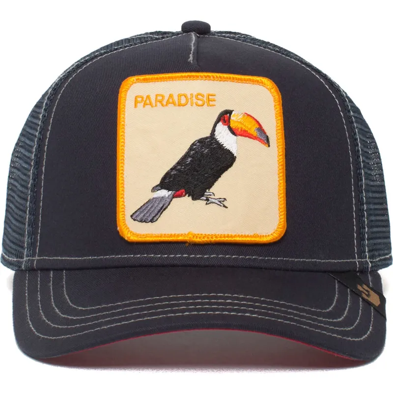 curva-snapback-the-farm-goorin-bros