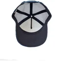 curva-snapback-the-farm-goorin-bros