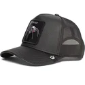 curva-snapback-the-farm-goorin-bros