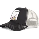 curva-snapback-the-farm-goorin-bros