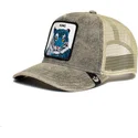 curva-snapback-the-farm-goorin-bros