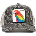 curva-snapback-the-farm-goorin-bros