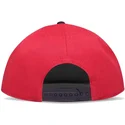 plana-snapback-difuzed