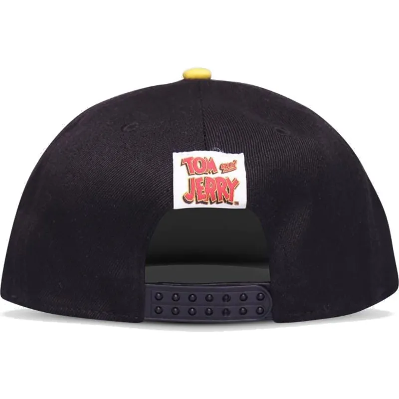 plana-snapback-difuzed