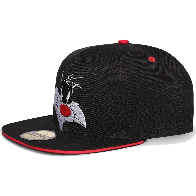 plana-snapback-difuzed plana-snapback-difuzed