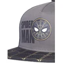 plana-snapback-difuzed