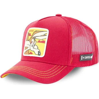 curva-snapback-looney-tunes-capslab
