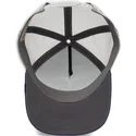 curva-snapback-the-farm-goorin-bros