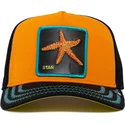 trucker-baby-i-m-a-star-the-farm-goorin-bros
