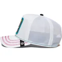 curva-snapback-the-farm-goorin-bros