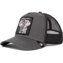 curva-snapback-the-farm-goorin-bros