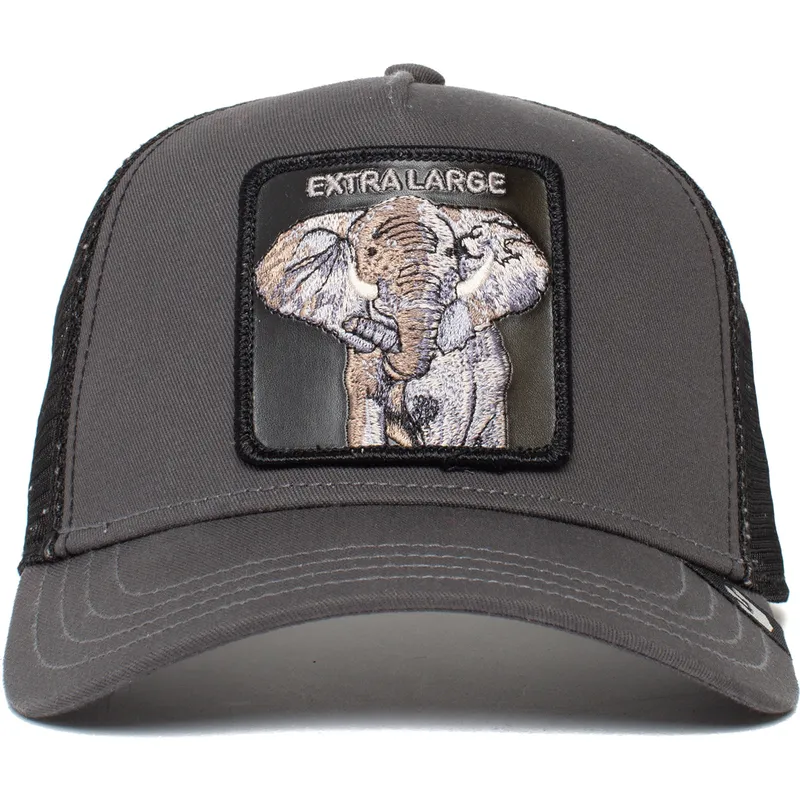 curva-snapback-the-farm-goorin-bros