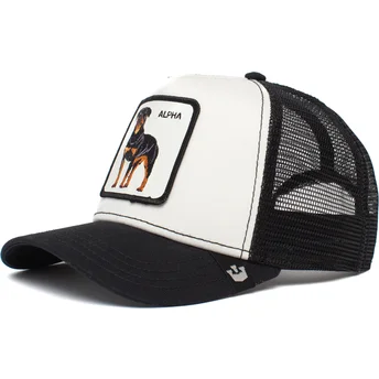 curva-snapback-the-farm-goorin-bros