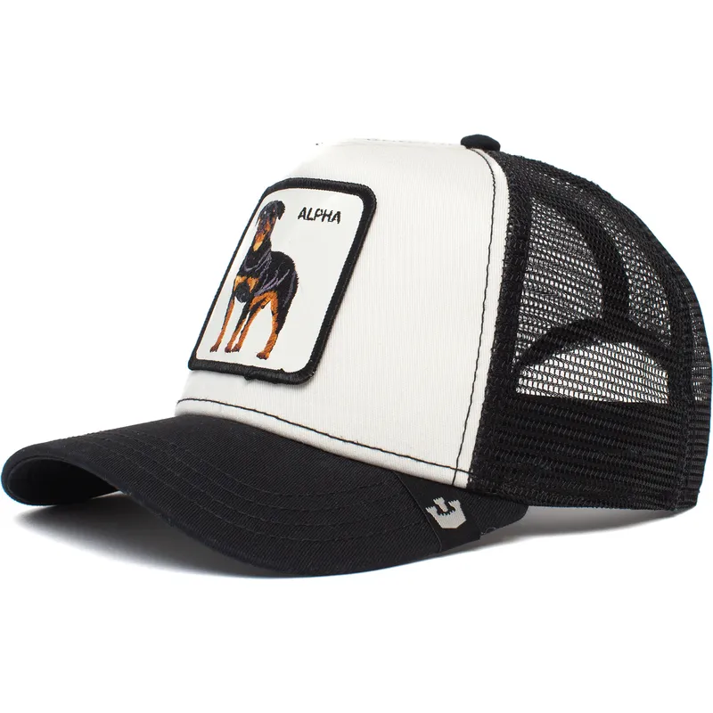 curva-snapback-the-farm-goorin-bros