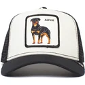 curva-snapback-the-farm-goorin-bros
