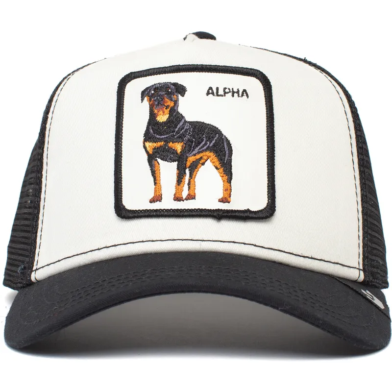 curva-snapback-the-farm-goorin-bros