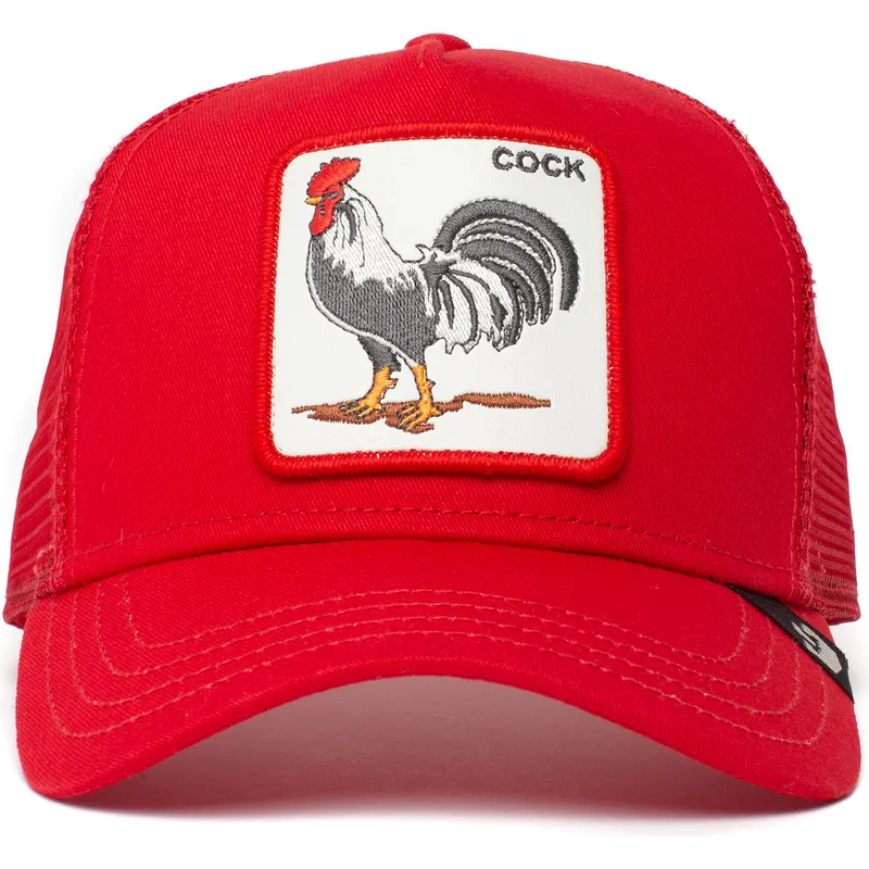 curva-snapback-the-farm-goorin-bros