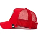 curva-snapback-the-farm-goorin-bros