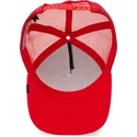 curva-snapback-the-farm-goorin-bros