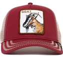 curva-snapback-the-farm-goorin-bros