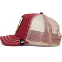 curva-snapback-the-farm-goorin-bros