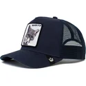 curva-snapback-the-farm-goorin-bros