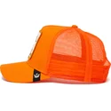 curva-snapback-the-farm-goorin-bros