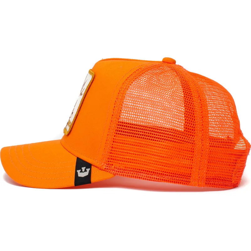curva-snapback-the-farm-goorin-bros