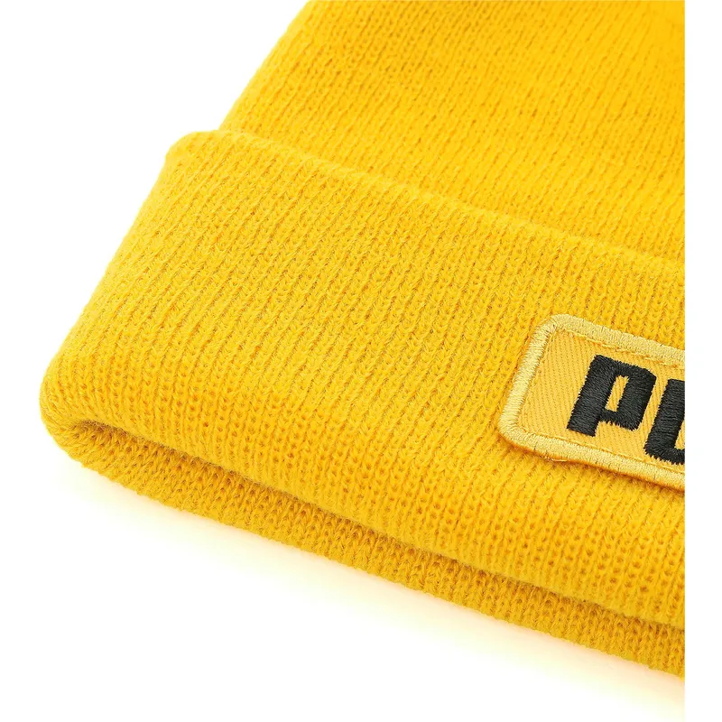 puma puma