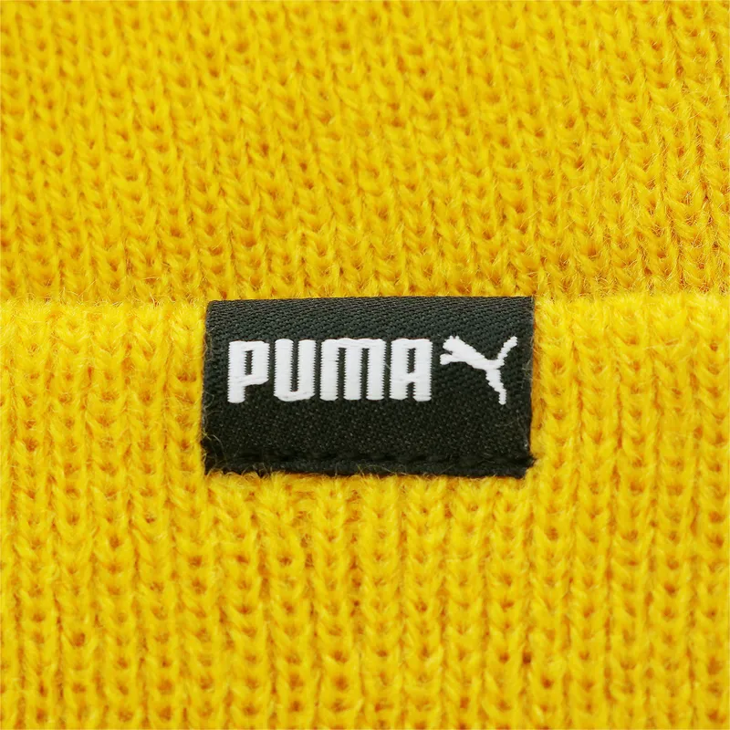 puma puma