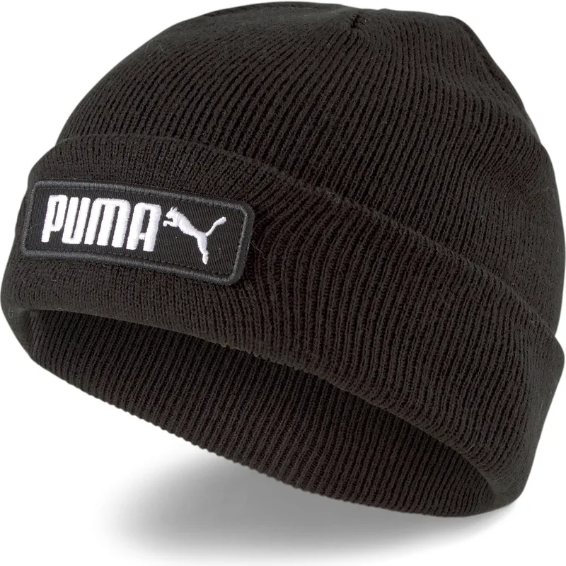 puma puma
