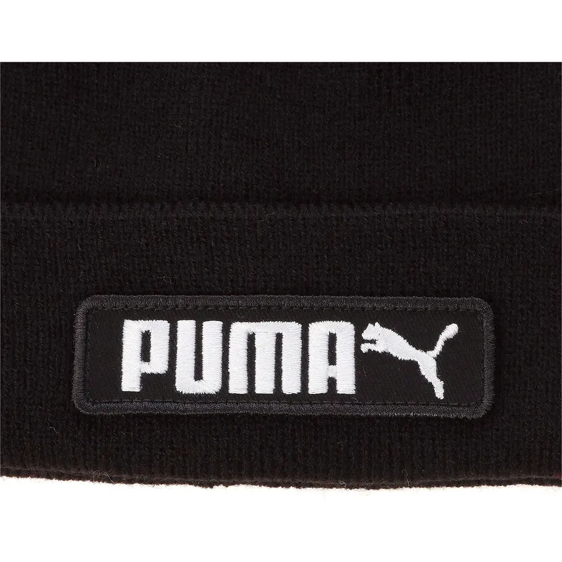puma puma