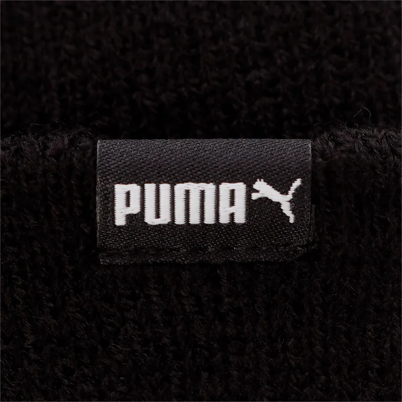 puma puma